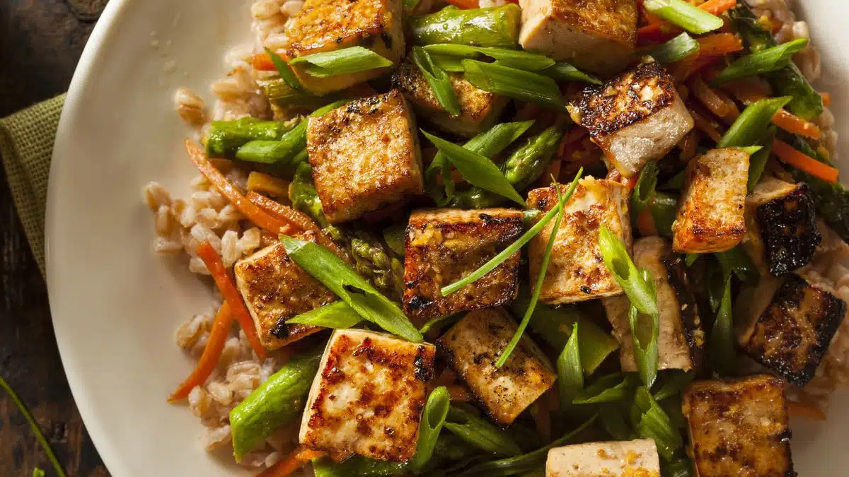 tofu meal dish