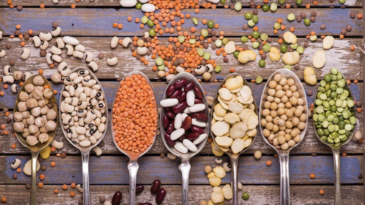 Legumes