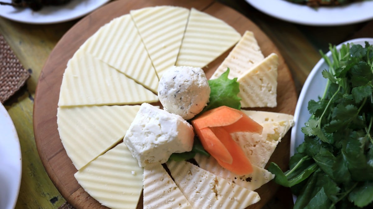 Vegan Cheese