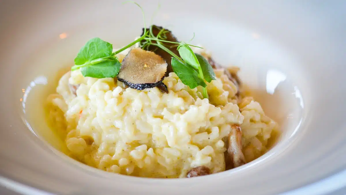 White Truffle Risotto