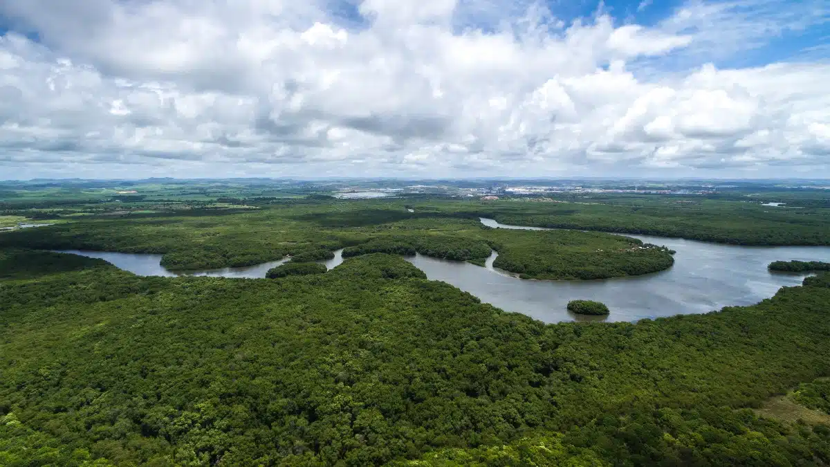 Amazon Basin, Brazil