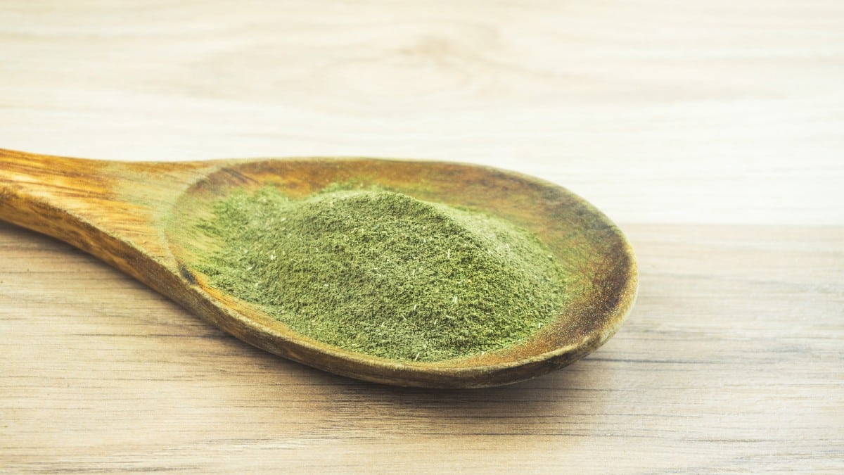 Kava kava powder