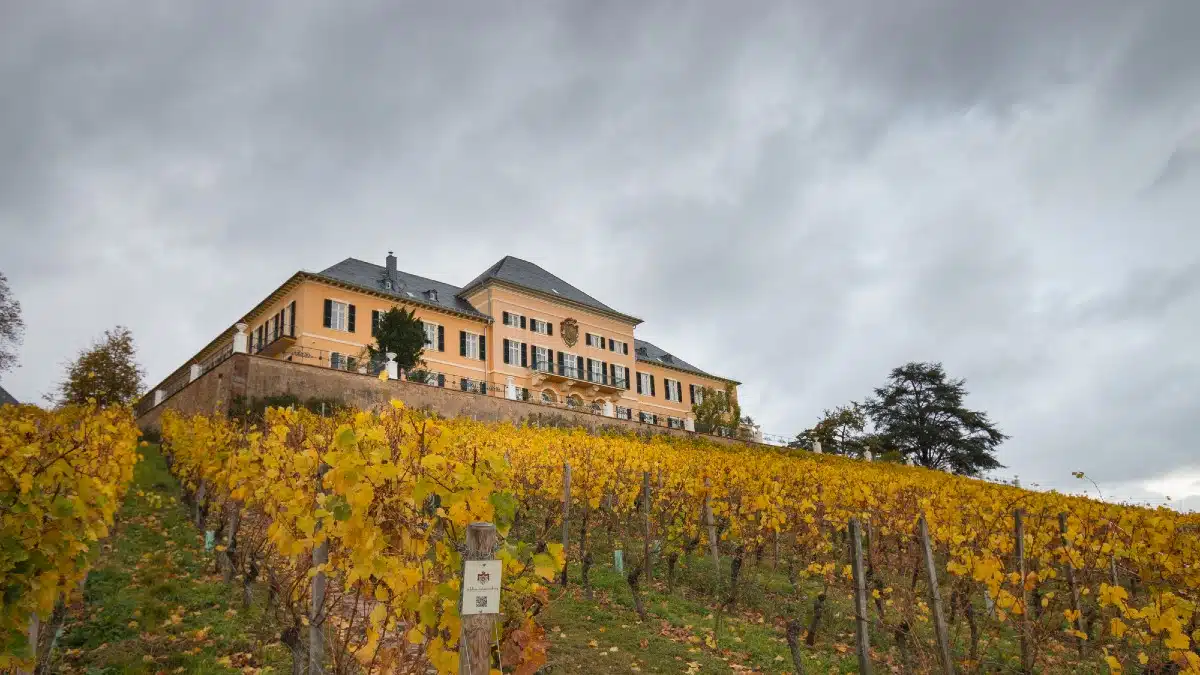 Low angle view of Schloss Johannisberg in autumn