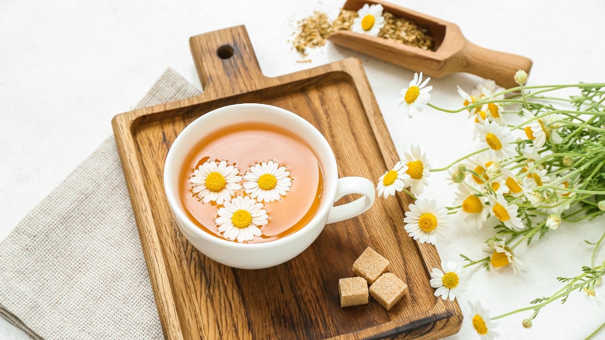 15 Late Night Snacks That Actually Boost Peoples Metabolism - My Plant