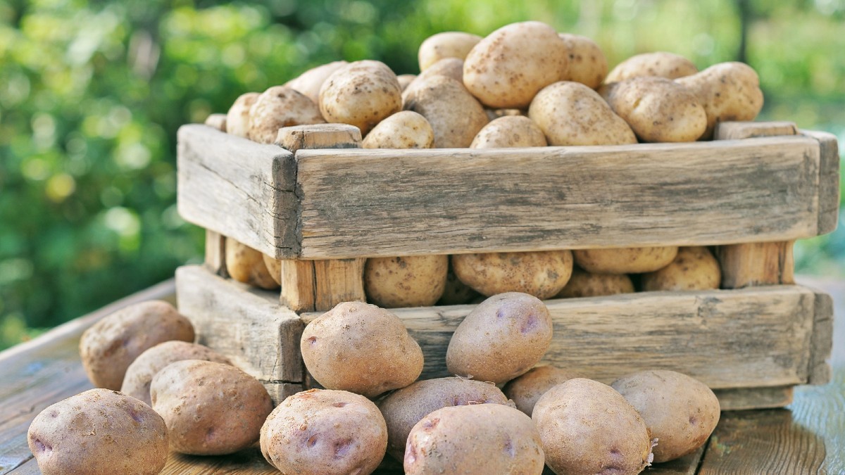 Potatoes