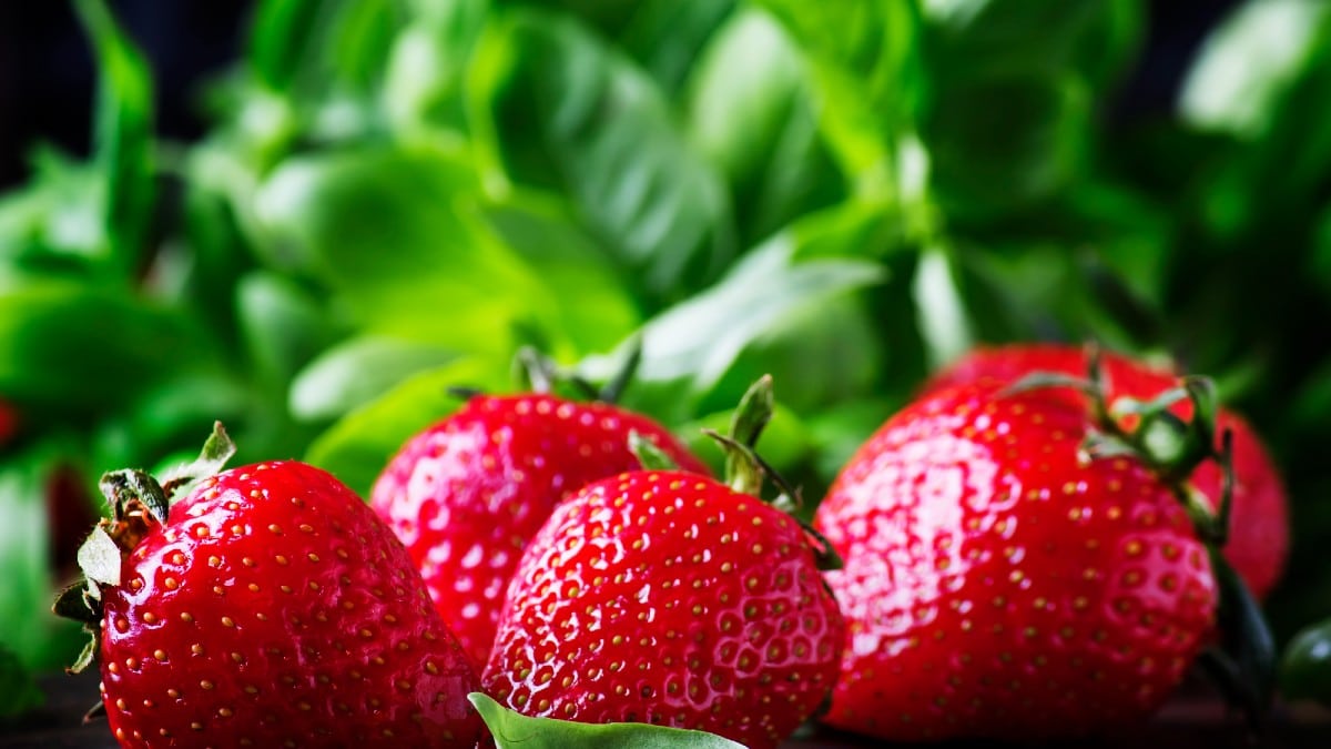 Strawberries