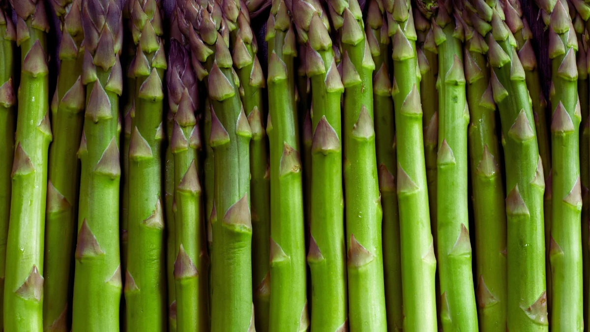 Asparagus