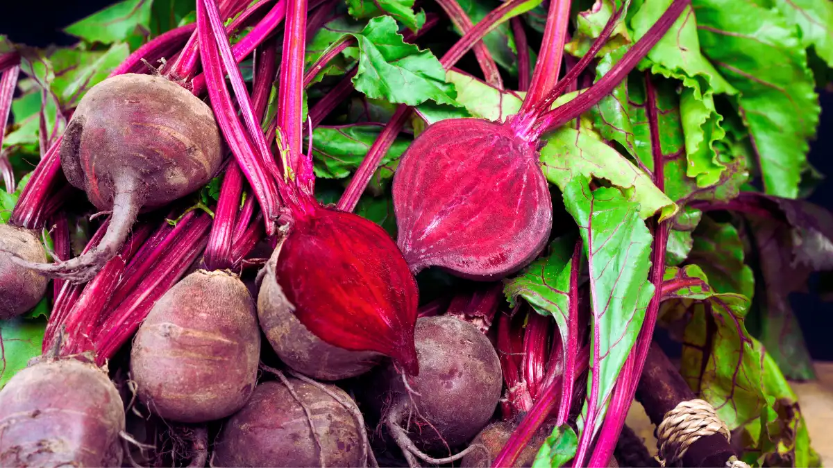 Beets