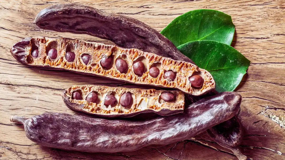 Carob