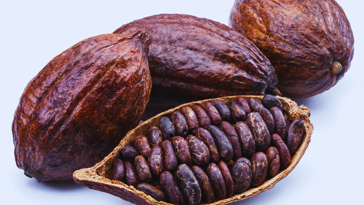 Dark Chocolate Espresso Beans