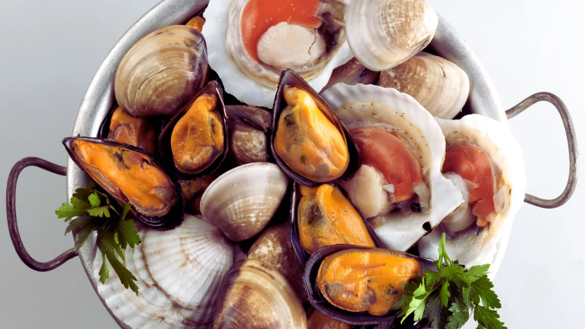 Eating Shellfish Regularly