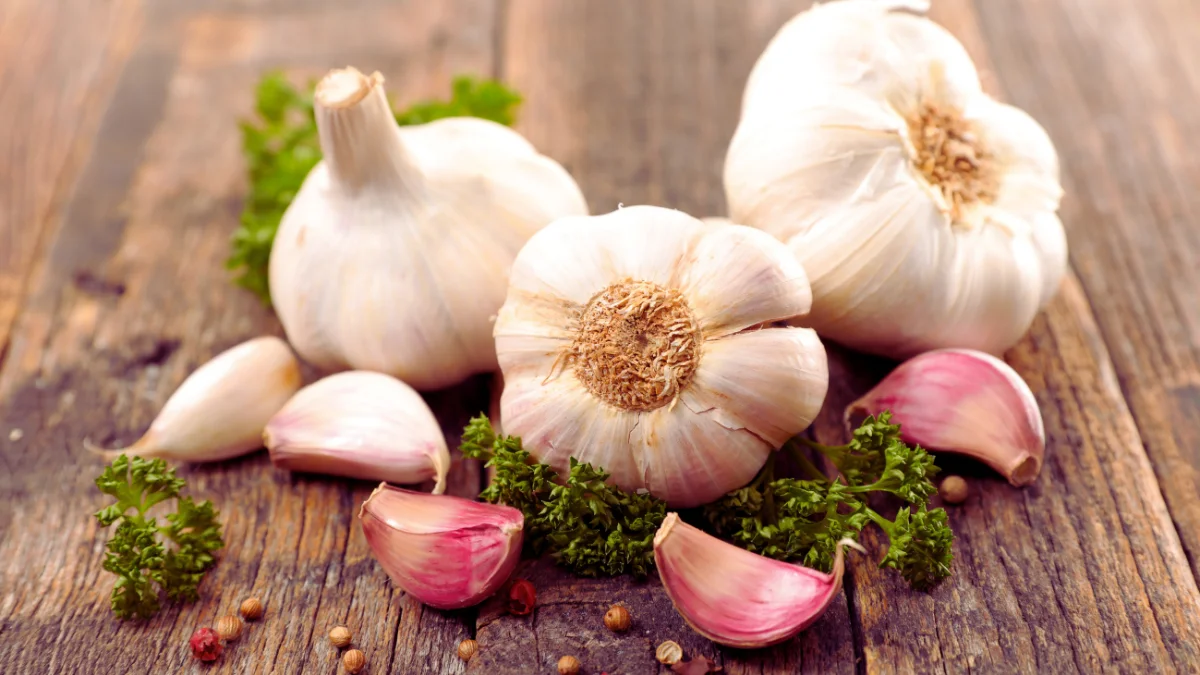Garlic (Allicin)