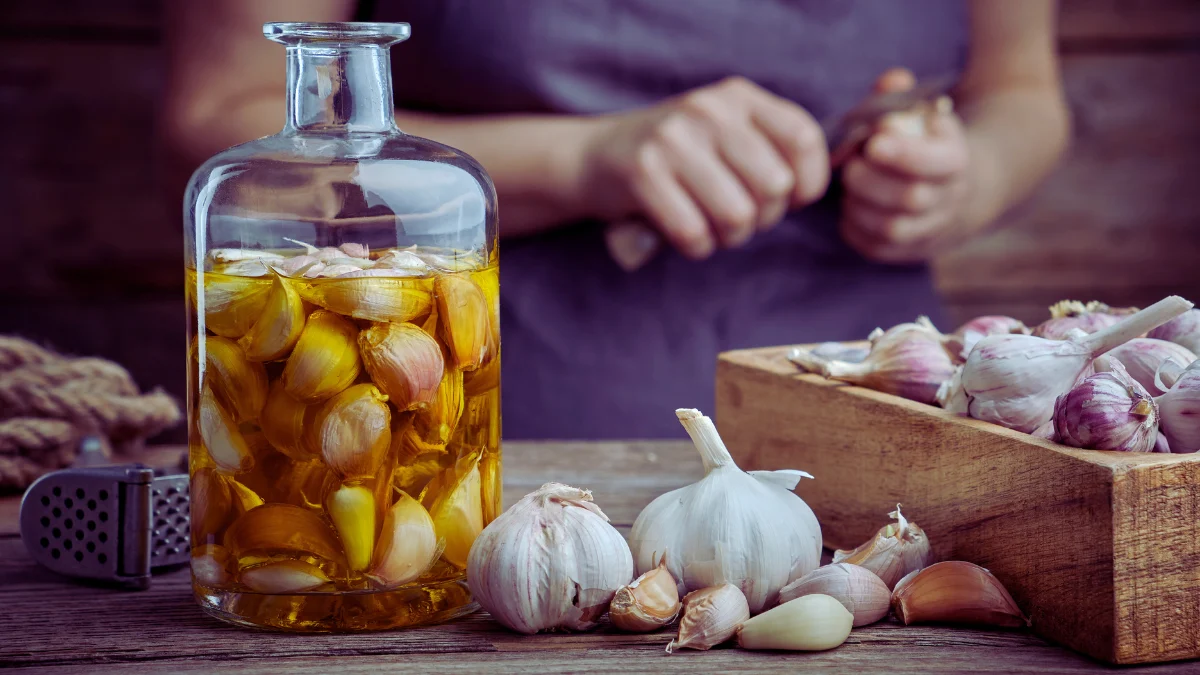 Garlic (Infused Oil)