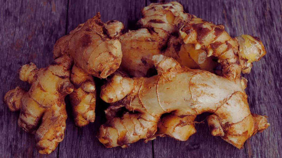 Ginger