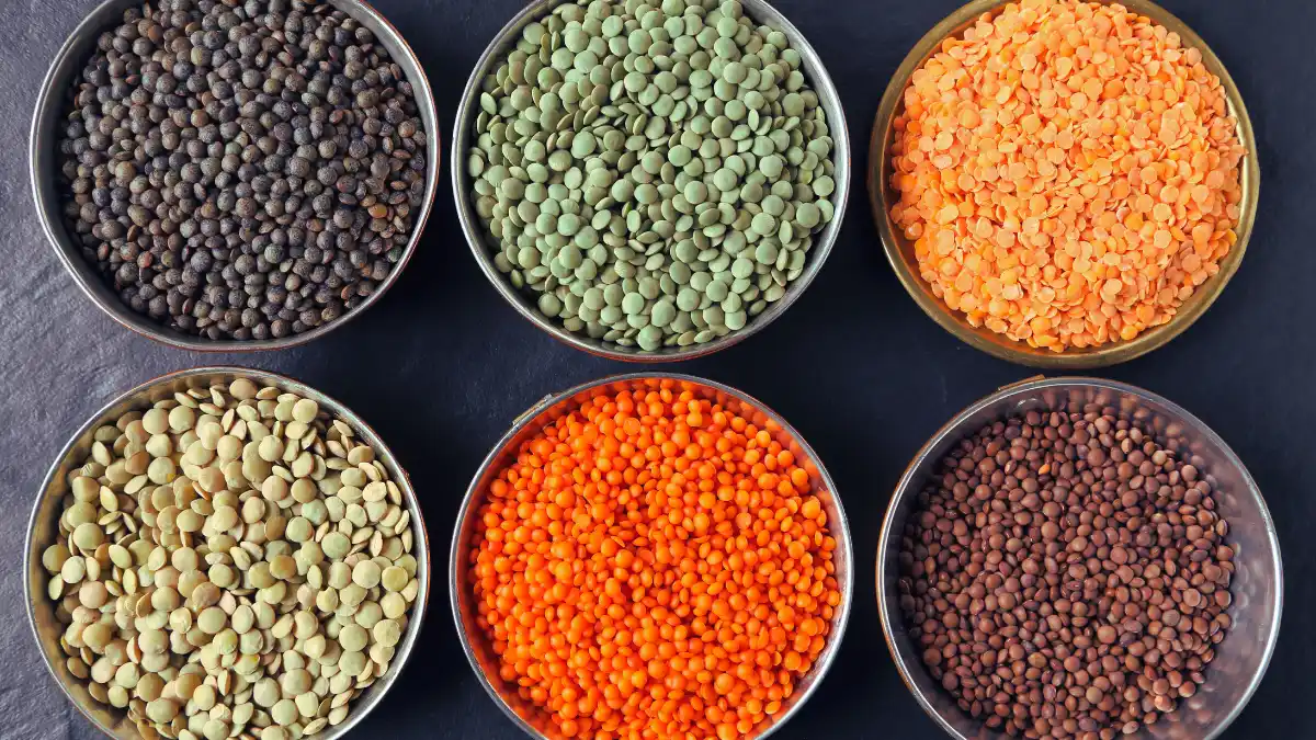 Lentils & Legumes
