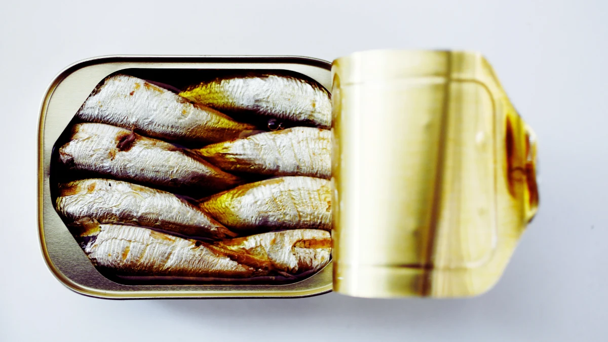 Sardines