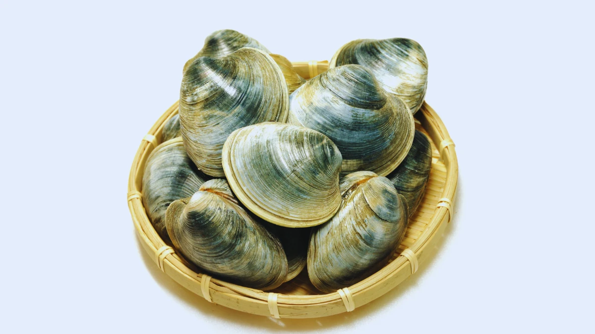 Shellfish