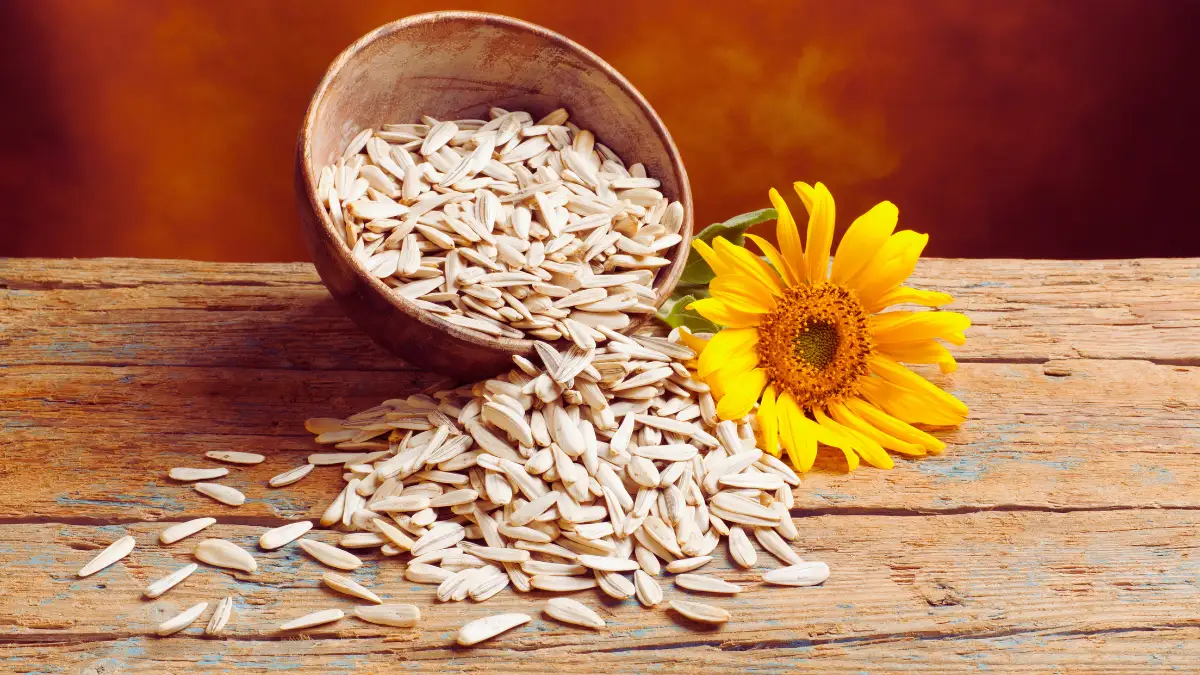 Sunflower Seeds