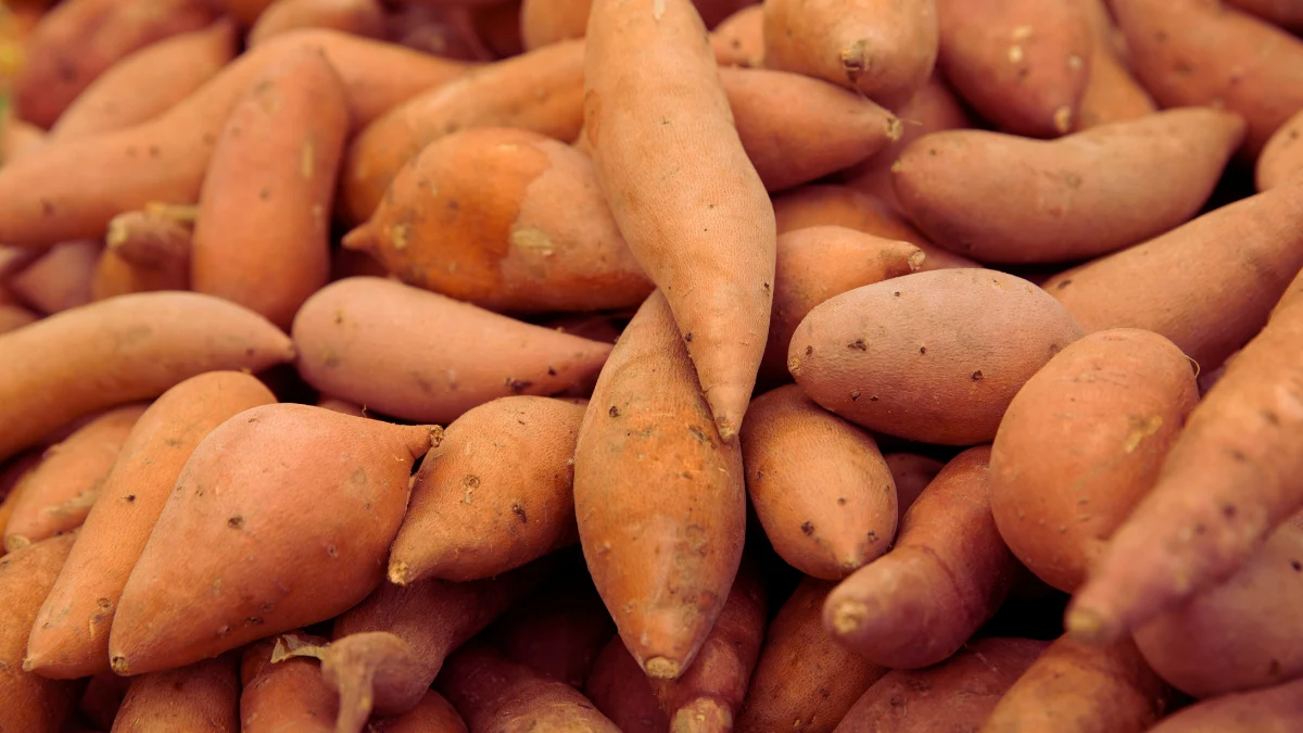 Sweet Potatoes