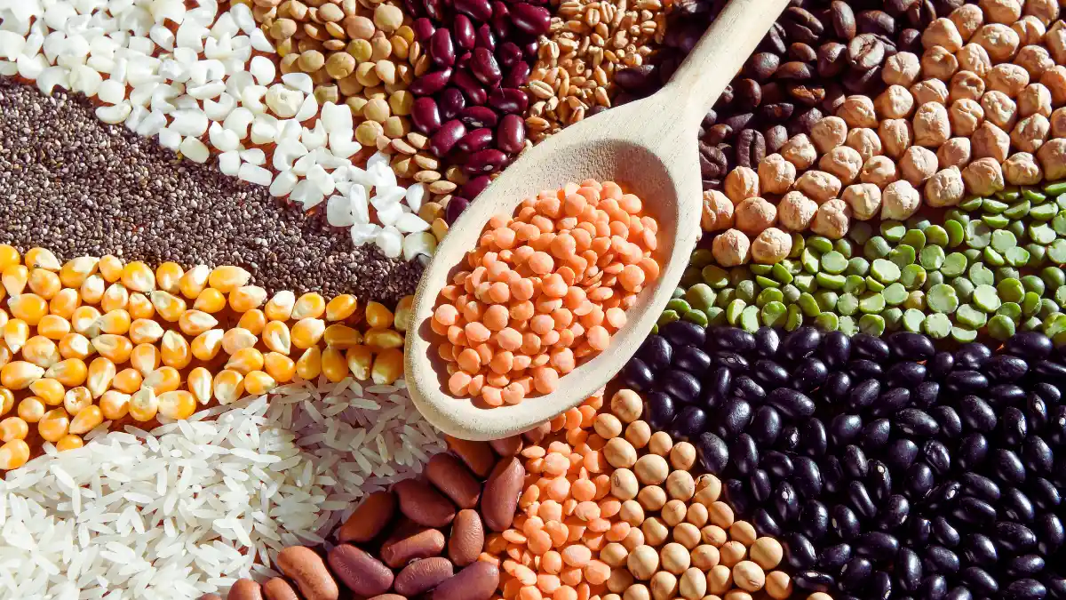 Unsoaked Legumes (e.g., Beans, Lentils)