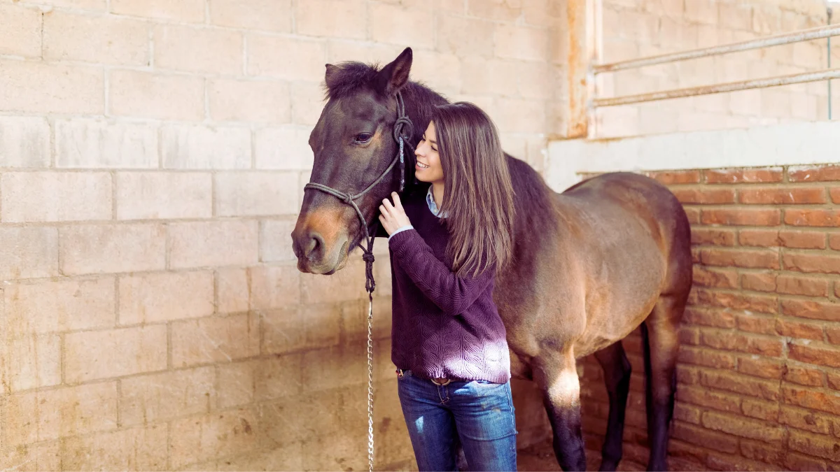 Animal Companionship