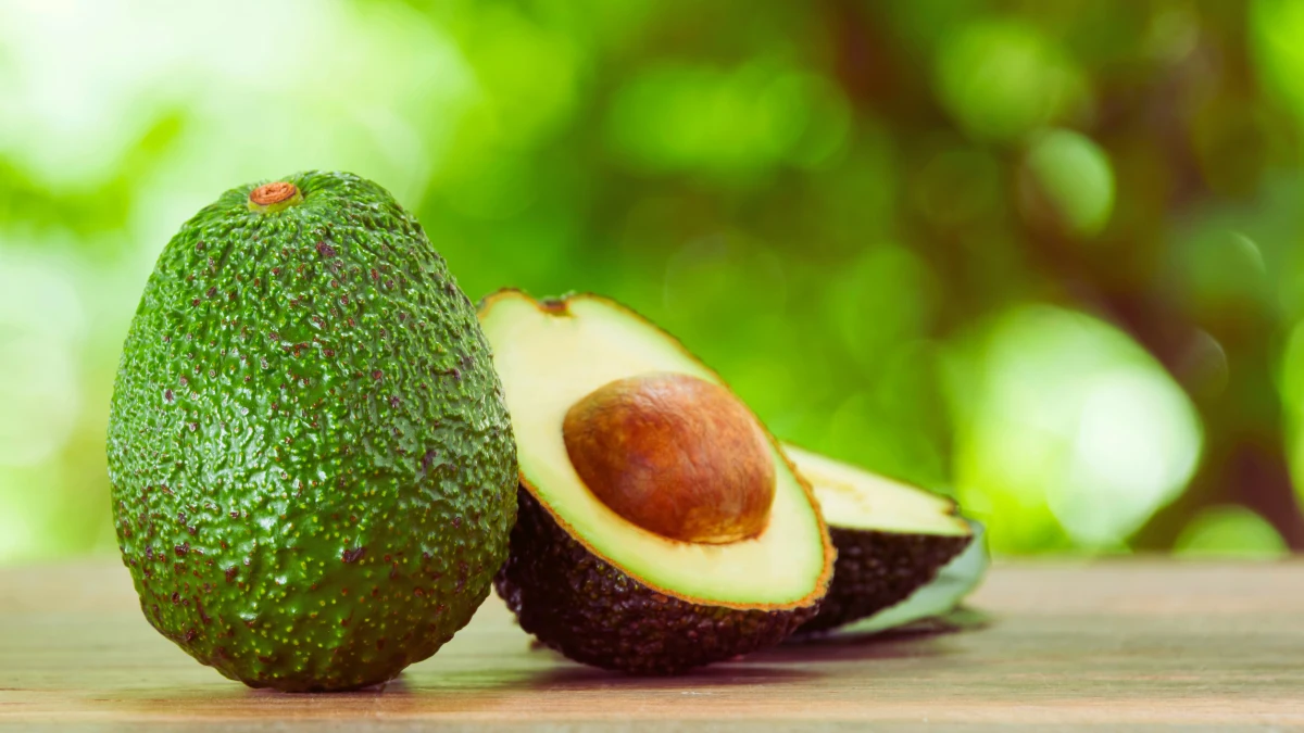 Avocado