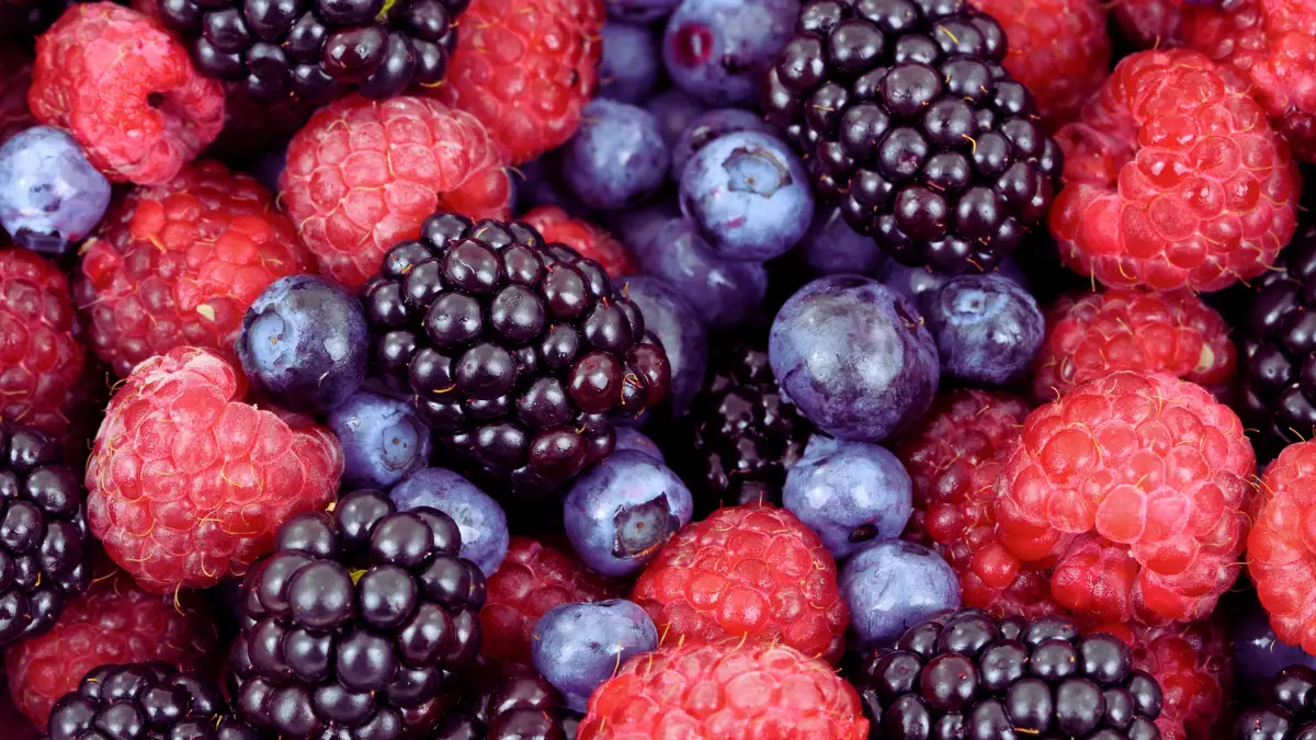 Blueberries & Berries