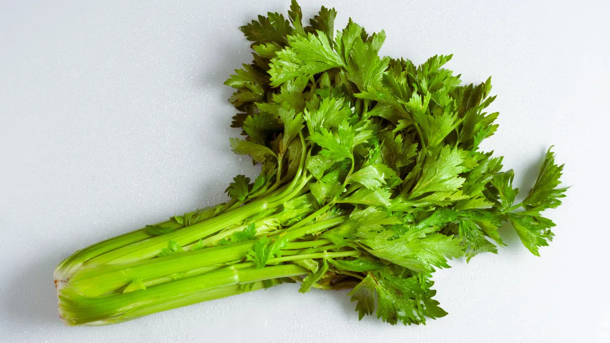 Celery
