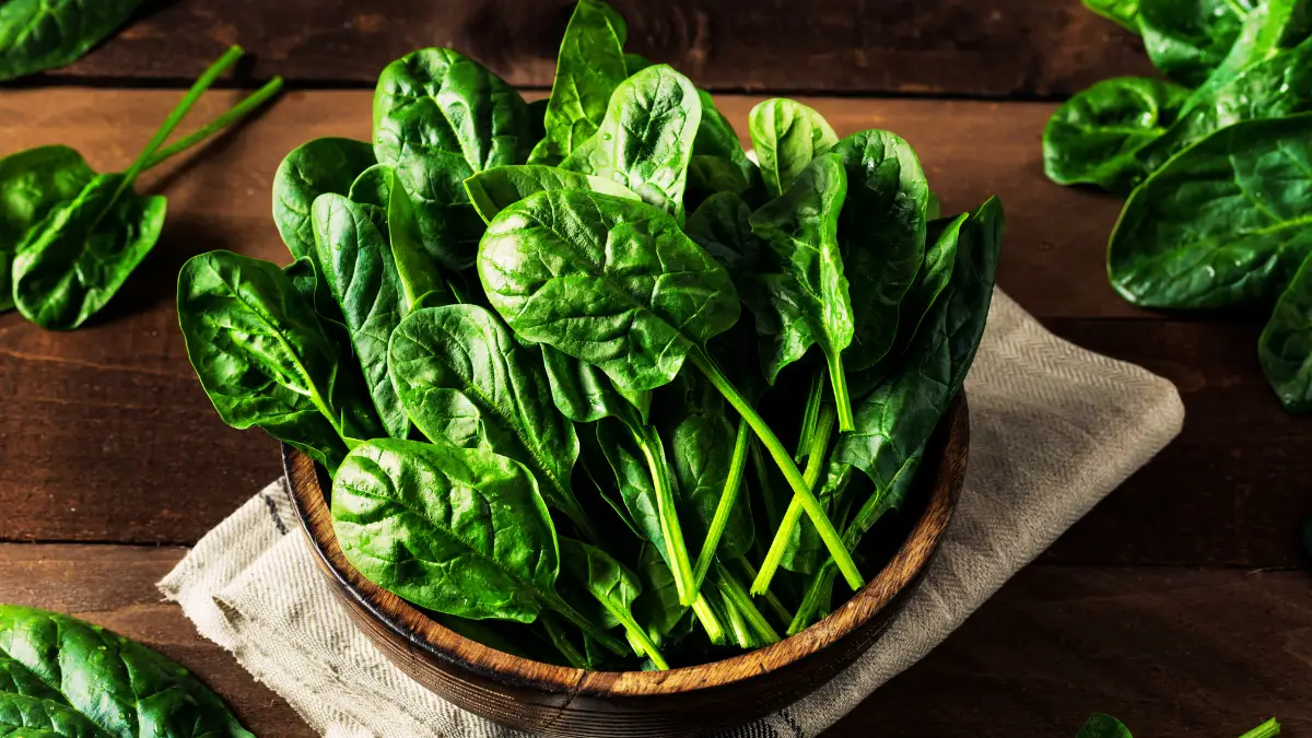 Dark Leafy Greens (Spinach, Kale)