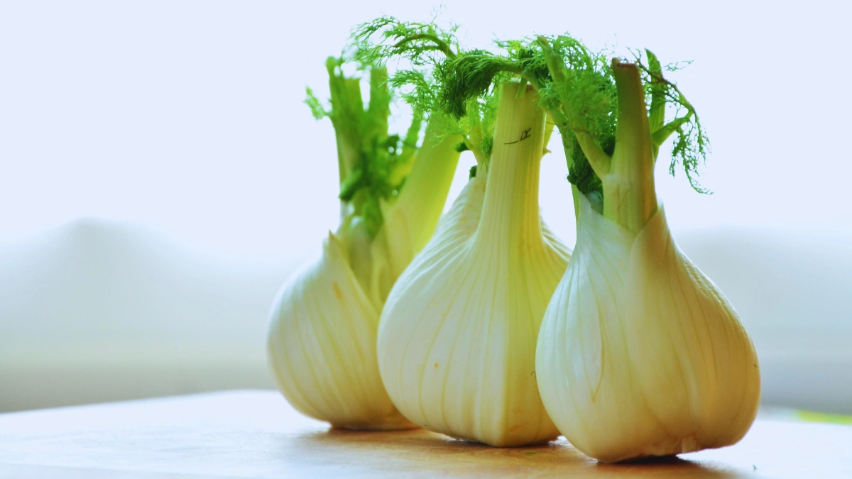 Fennel