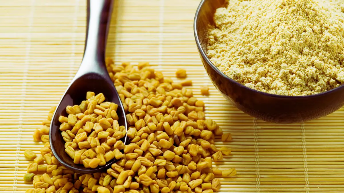 Fenugreek