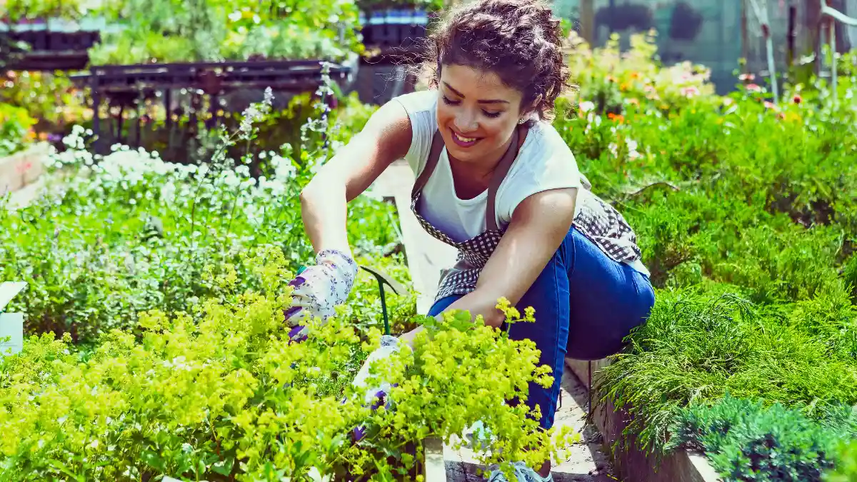 Gardening