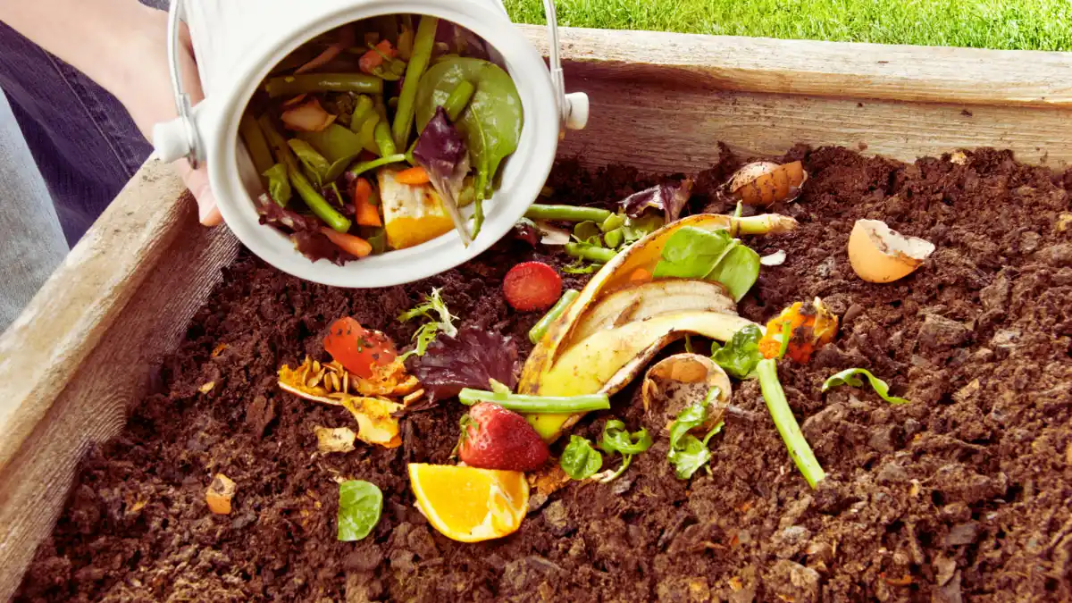 Don't Throw Your Food!!!...The Surprising Health Benefits Of Food By ...