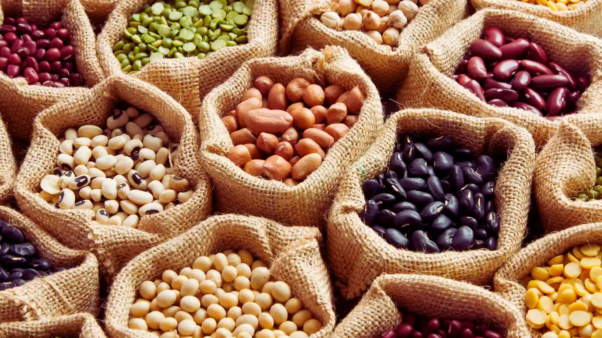 Legumes (Lentils, Chickpeas)