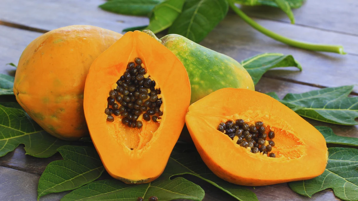 Papaya