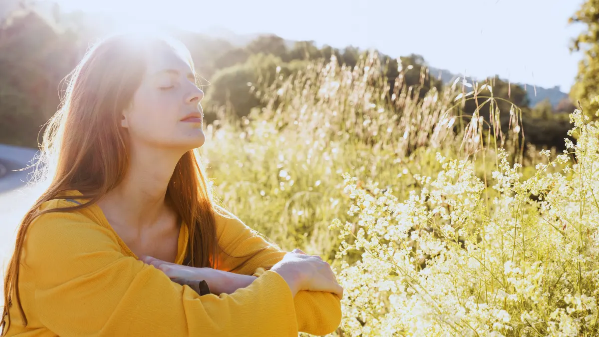 Sunlight & Nature