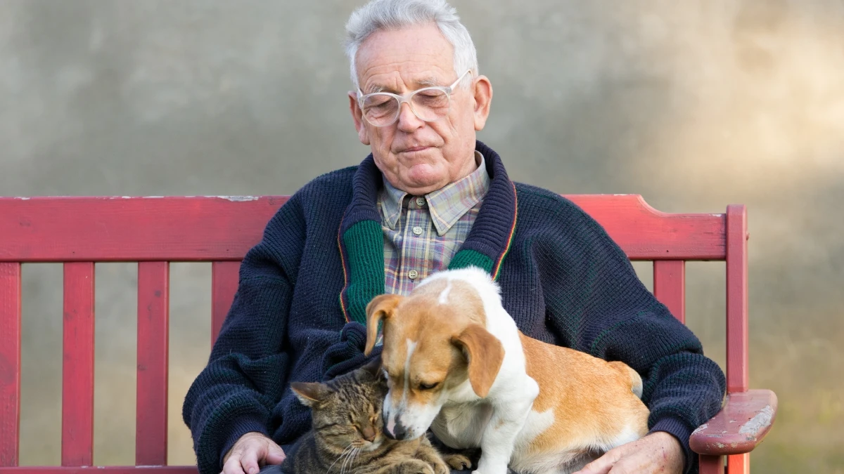 The Ancient Ayurvedic Herb That Reverses Stress Damage (3,000 Years of Use—Now Proven by Modern Science