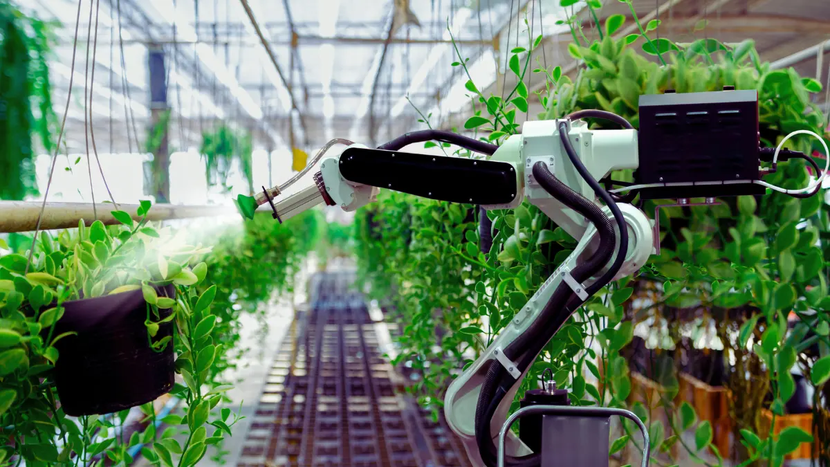 The Future of Computational Food