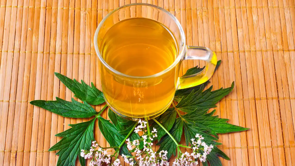 Valerian Root Tea