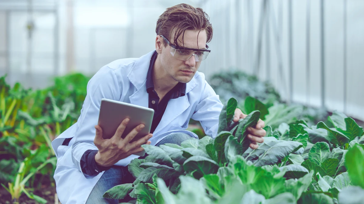 What is Computational Food?