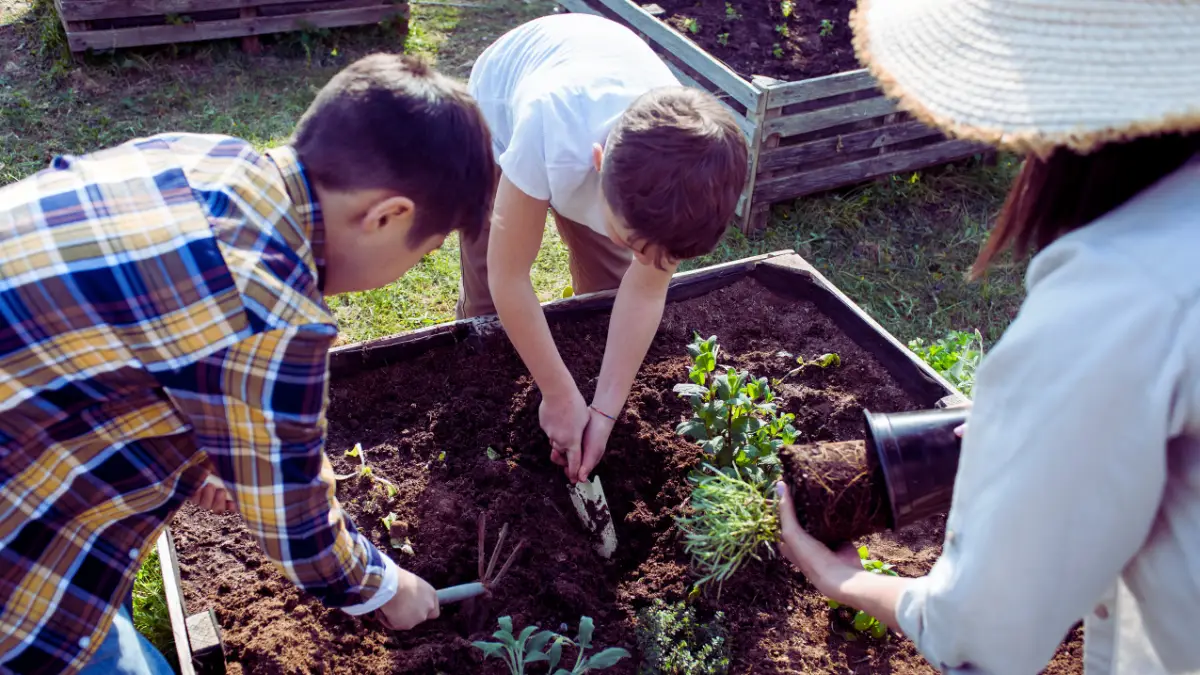 Gardening for Mental and Physical Health