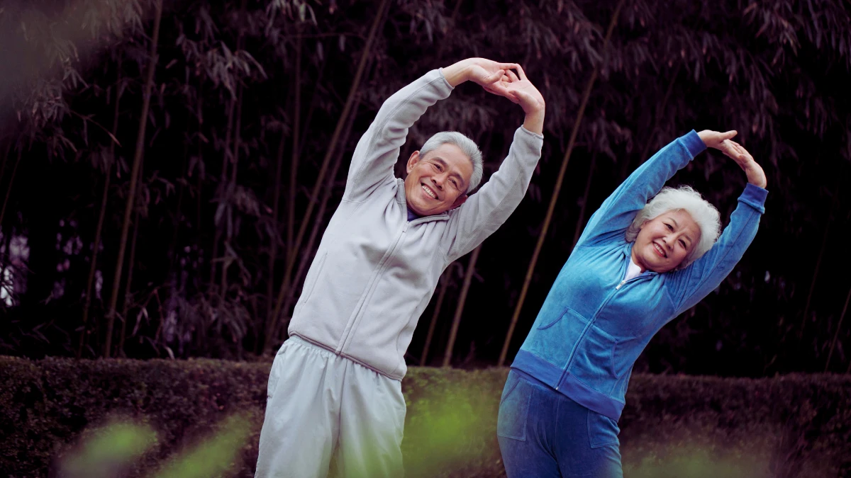 Gentle Traction Stretches