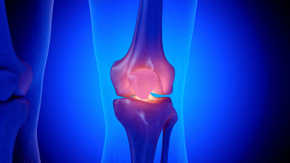 Mechanical Stimulation for Cartilage Health