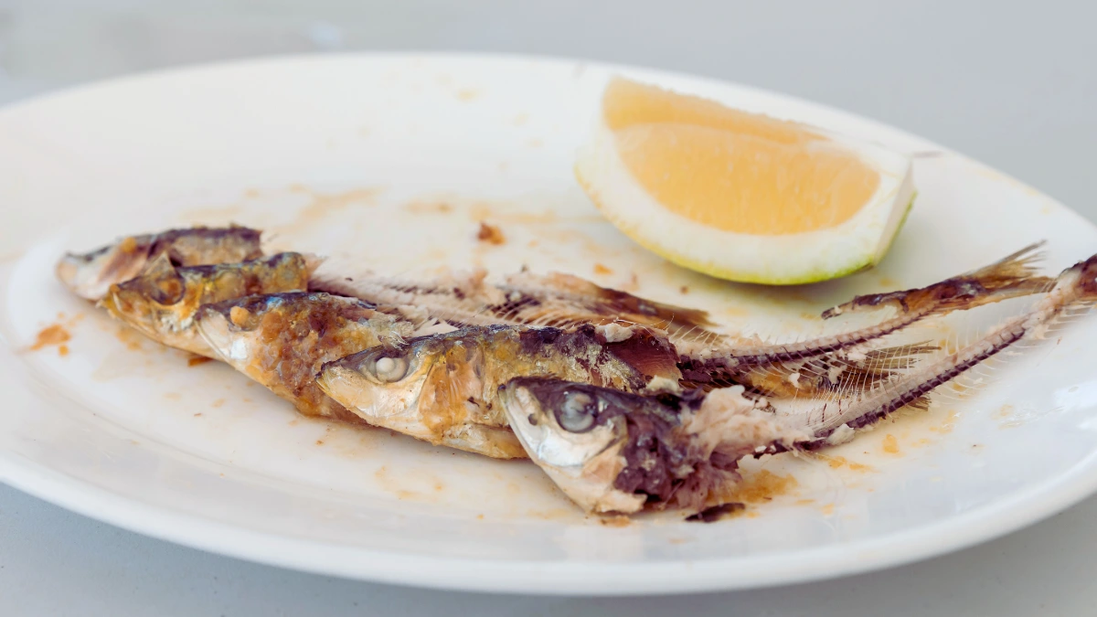 Sardines (with Bones)