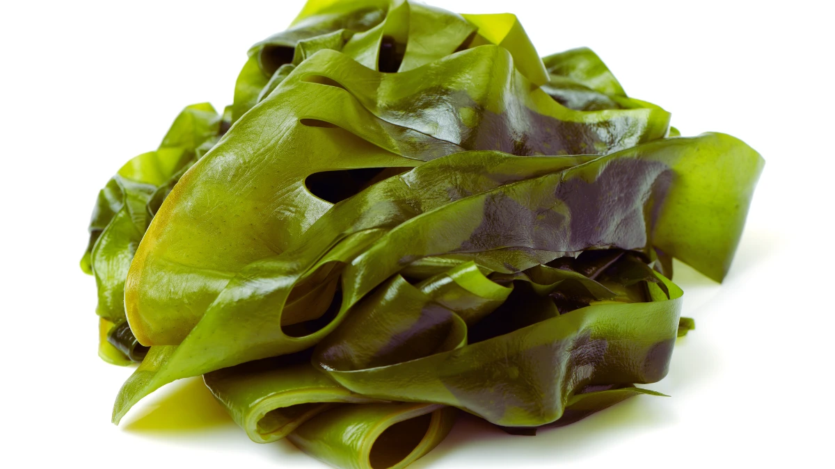 Seaweed (Kelp)