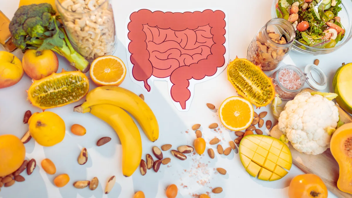 Consider Probiotics for Gut Health