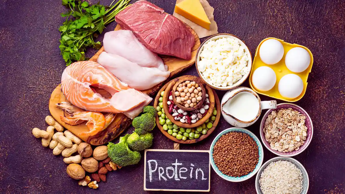 Increase Protein Intake