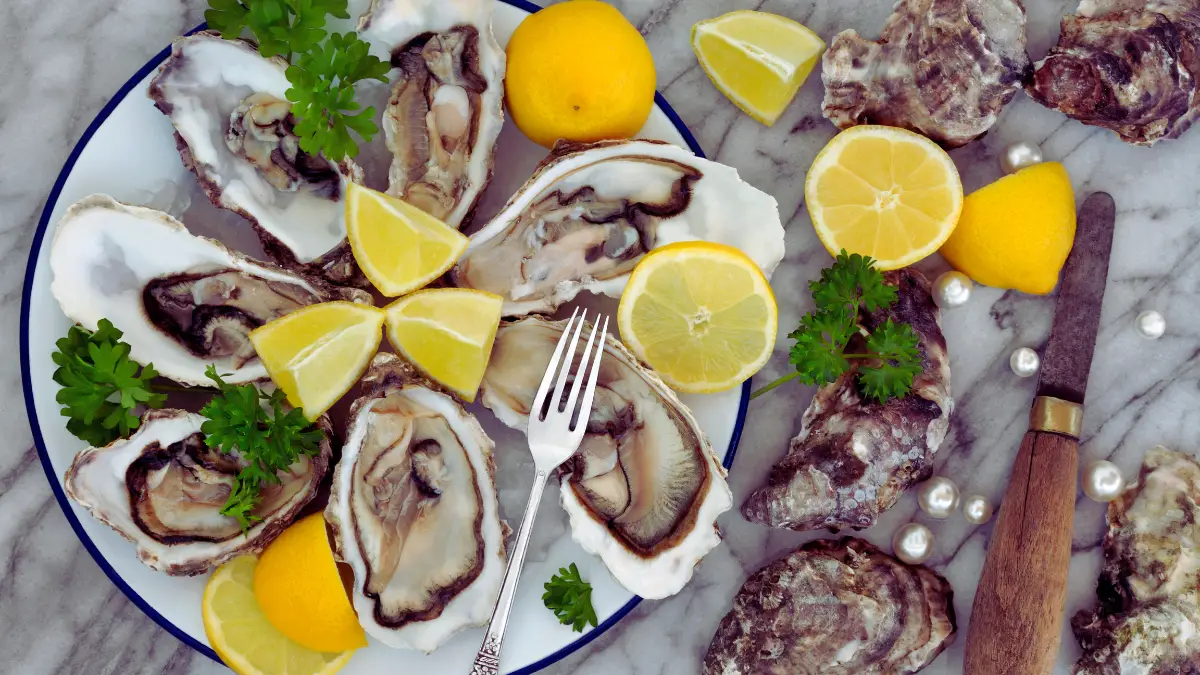 Oysters
