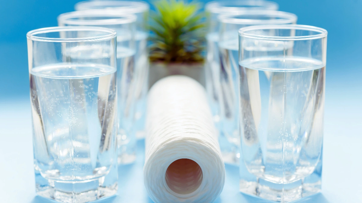 Clean Water Needs Minerals Too