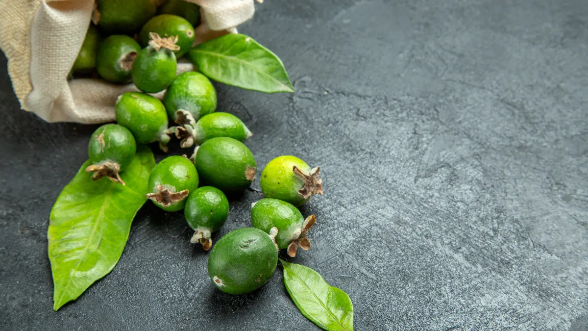 Garcinia Cambogia